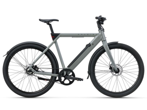 raleigh_one_side_grey_4_42256826
